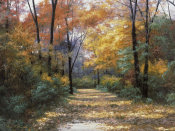 Diane Romanello - Autumn Road