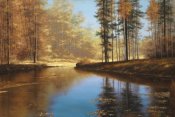 Diane Romanello - Autumn Creek