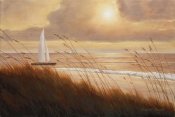 Diane Romanello - Beach Grass Sunset