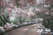 Diane Romanello - Azalea Walk