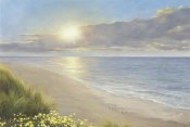 Diane Romanello - Beach Serenity
