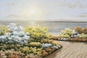 Diane Romanello - Deck and Flowers
