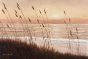 Diane Romanello - Breezy Sunset