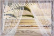 Diane Romanello - Surf & Palm View