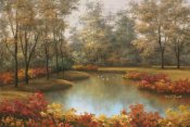 Diane Romanello - Beauty of Autumn