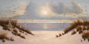Diane Romanello - Coastal Dunes