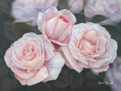 Diane Romanello - Pink Roses